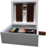 Upotreba inkubatora idealne kokoške kod kuće